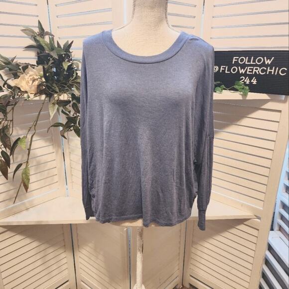 WILDFOX GRAY BLUE BBJ SIZE XS OVERSIZED SOFT - Picture 1 of 5